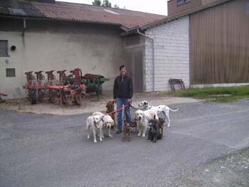 BILD0324