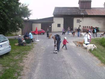 BILD0325