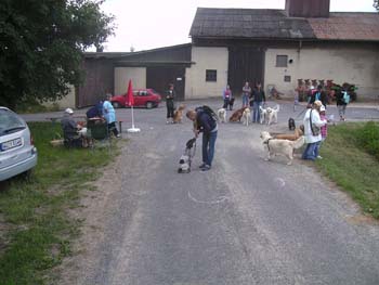 BILD0326