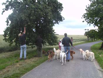 BILD0328