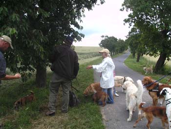 BILD0329