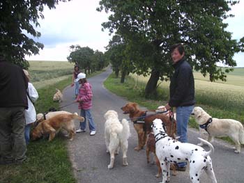 BILD0330