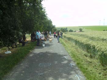 BILD0331