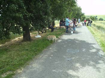 BILD0332