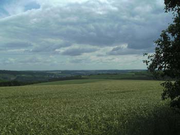 BILD0333