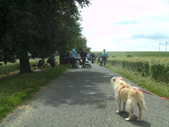 BILD0337