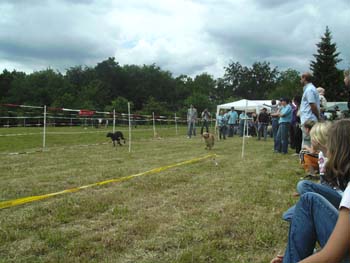 BILD0350