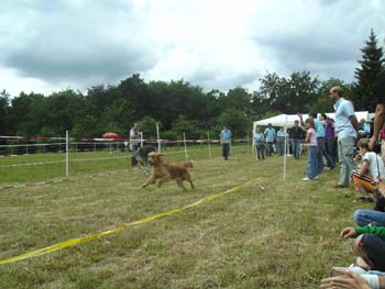 BILD0352