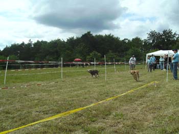 BILD0354