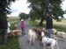 BILD0330