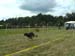 BILD0355