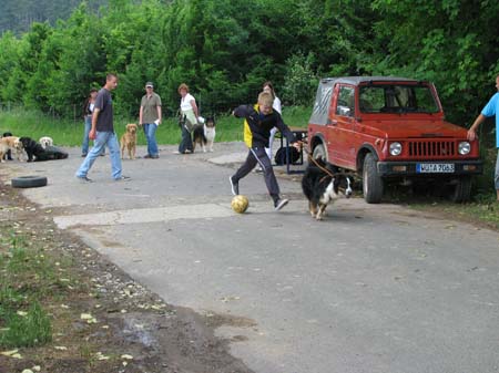 IMG_1125