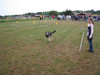 IMG_2303