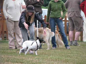 IMG_2328