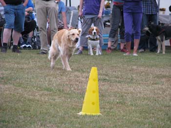 IMG_2343