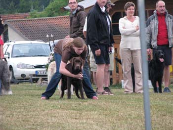 IMG_2358