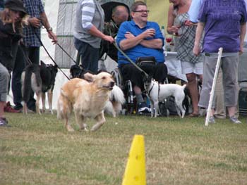 IMG_2369
