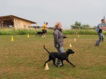 IMG_2386