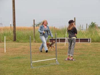 IMG_2412
