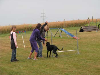 IMG_2502