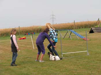 IMG_2511