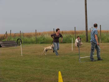 IMG_2522