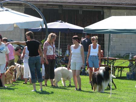 IMG_0225