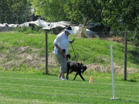 IMG_0255