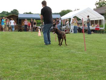 IMG_1555