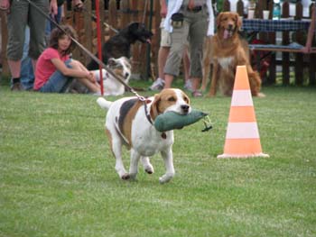 IMG_1604