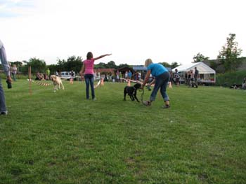 IMG_1621