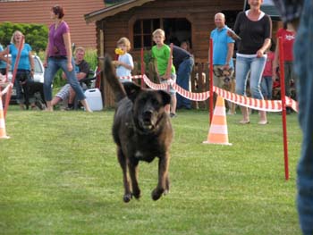 IMG_1623