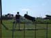 DSCF5098