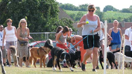 IMG_1423