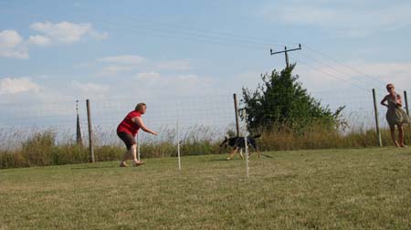 IMG_1477