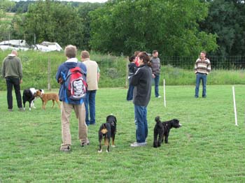 IMG_1752