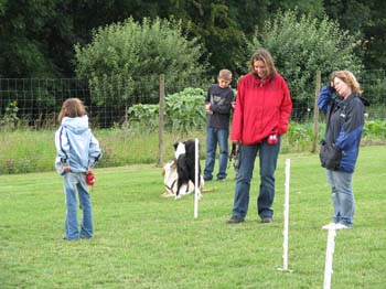 IMG_1753