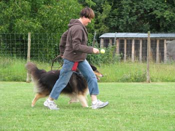 IMG_1774